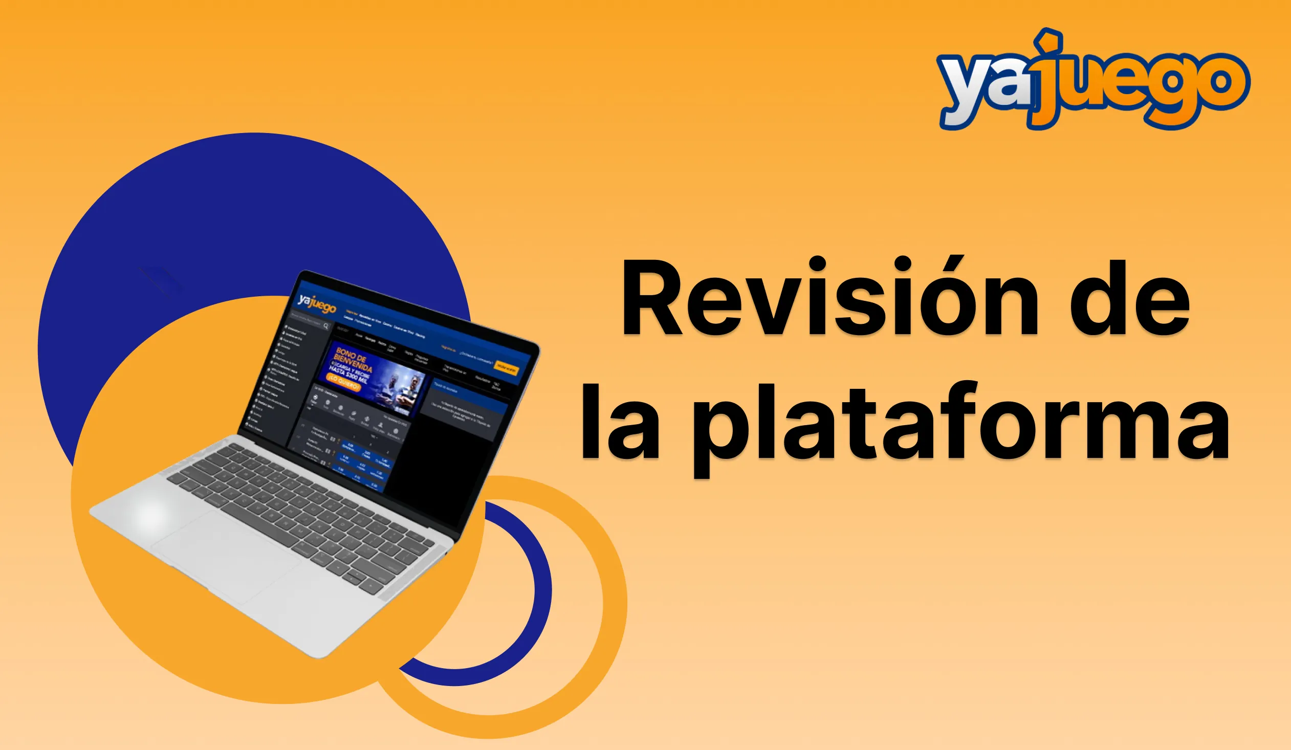 yajuego revisio